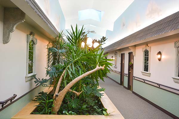 Apple Tree bright hallways in the community