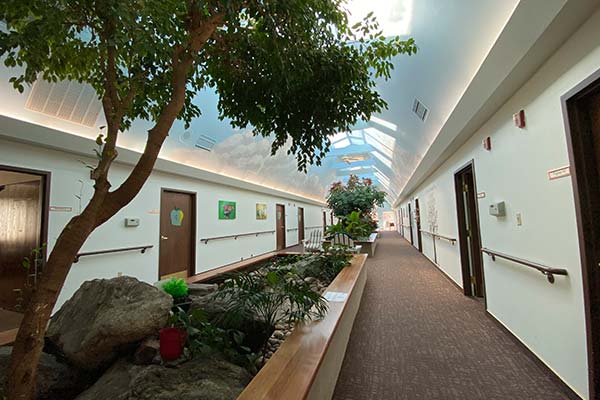 Apple Tree green hall