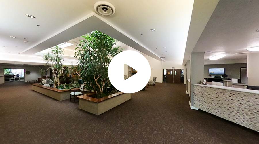 Apple Tree virtual tour