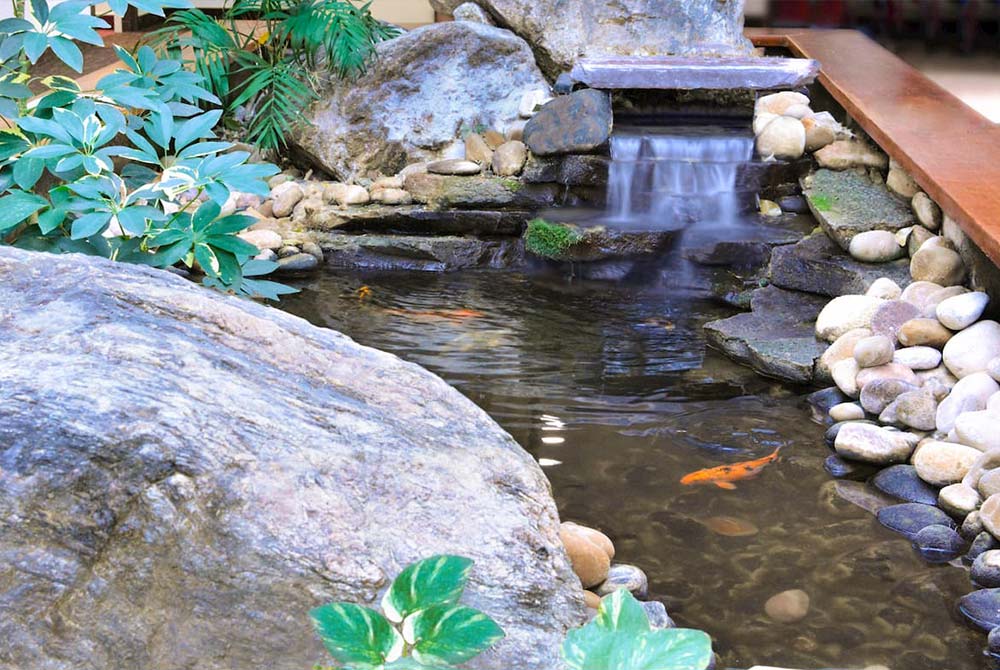 Apple Tree indoor pond
